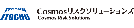 Itochu Group Cosmos Risk Solutions